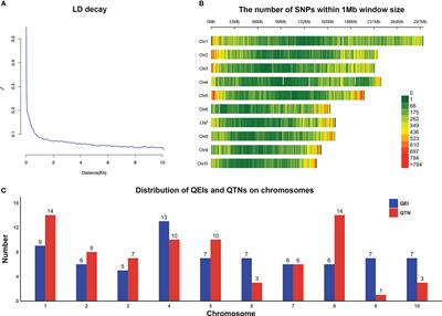 Identification of QTN-by-environment interactions for yield related traits in maize under multiple abiotic stresses